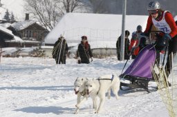 Lenk 2012 SM
